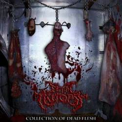 Fetal Autopsy : Collection of Dead Flesh